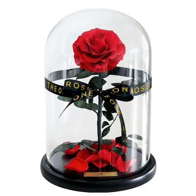 Medium Forever Rose Domes