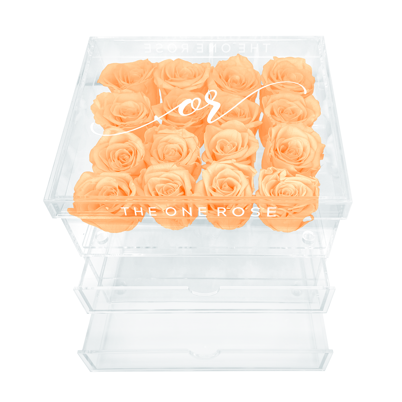 Grand Acrylic Forever Rose Box - Champagne