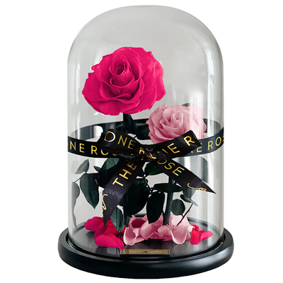 Grand Duo Forever Rose Dome - Pink