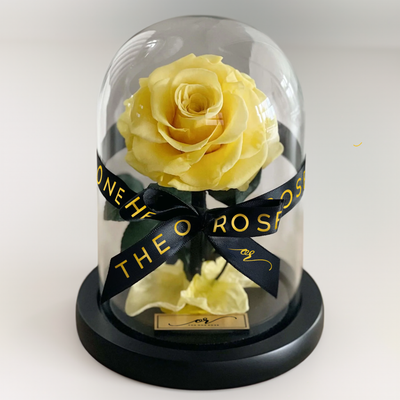 Mini Forever Rose Dome - Light Yellow