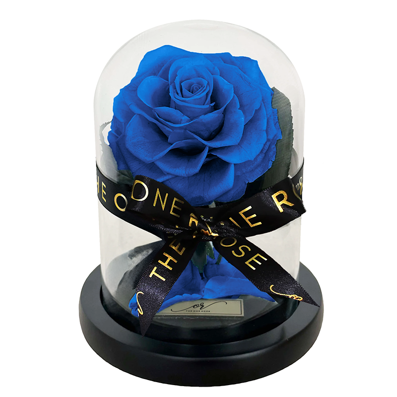 Mini Forever Rose Dome - Royal Blue