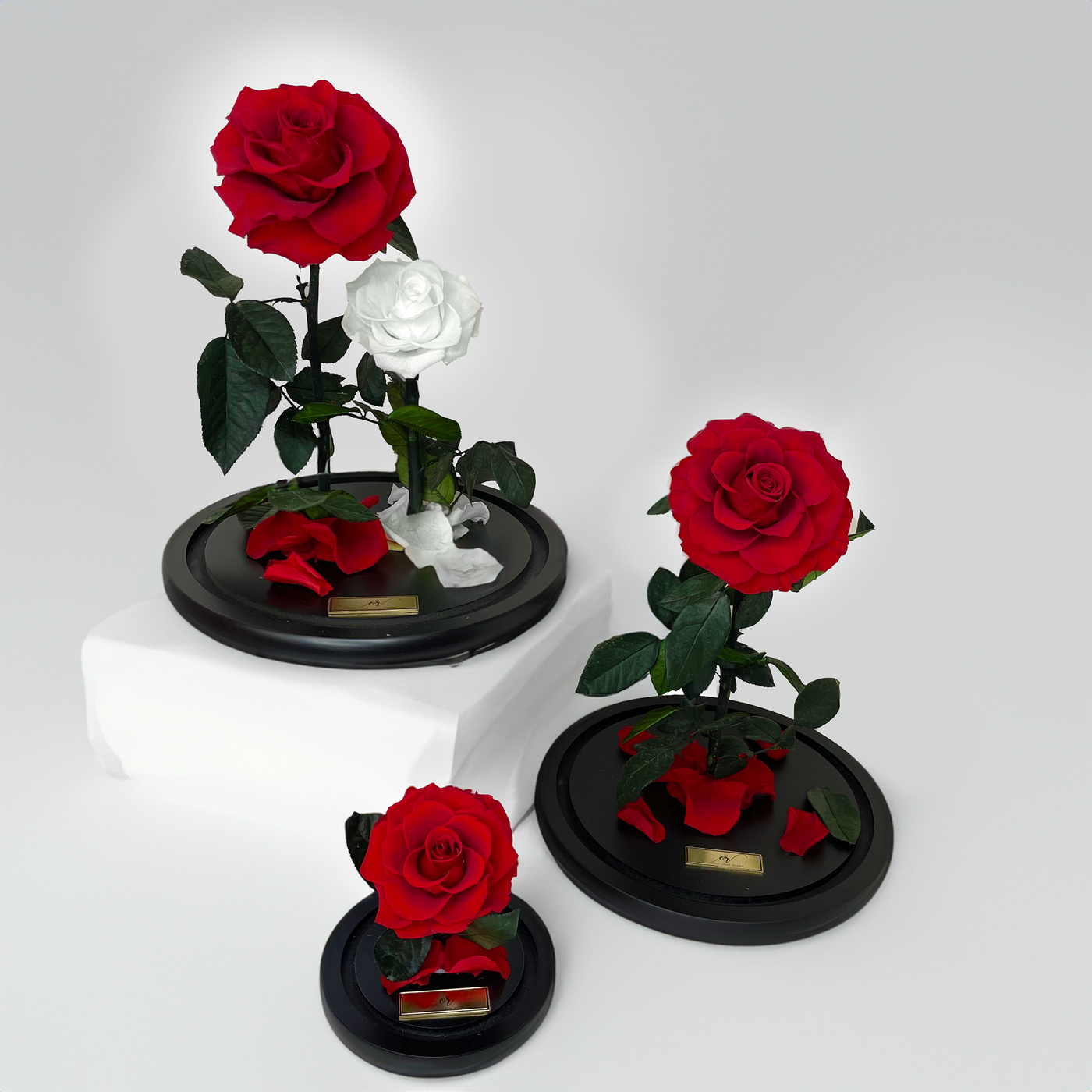 Grand Duo Forever Rose Dome - Red & White