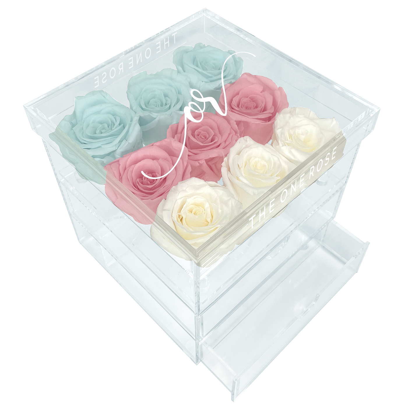 Medium Acrylic Forever Rose Box - Ombre Neopolitan