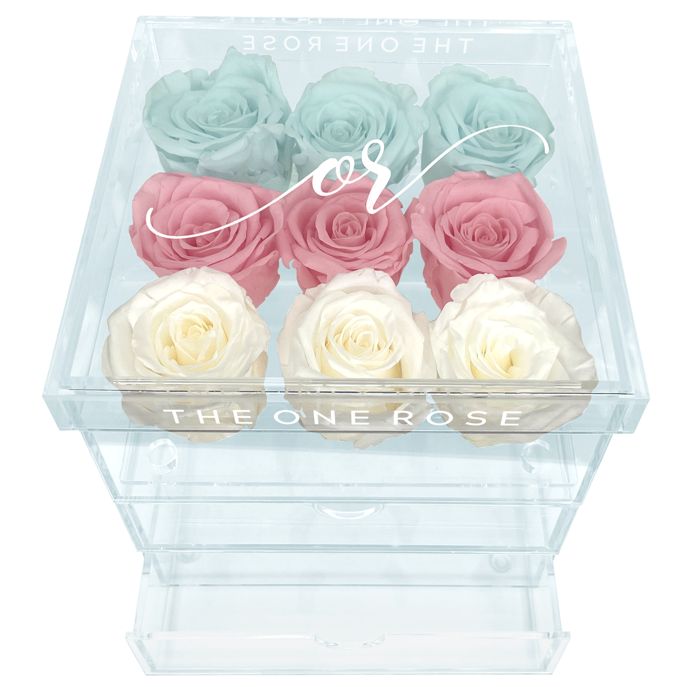 Medium Acrylic Forever Rose Box - Ombre Neopolitan