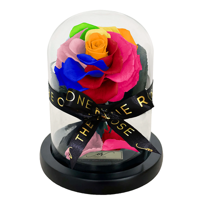 Mini Forever Rose Dome - Dark Rainbow