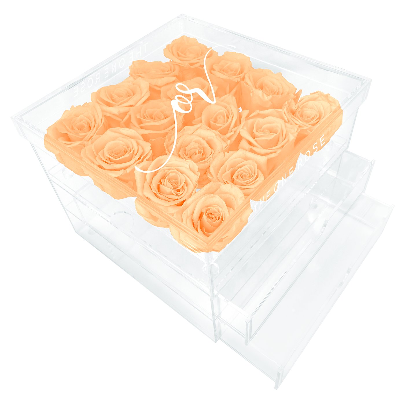 Grand Acrylic Forever Rose Box - Champagne