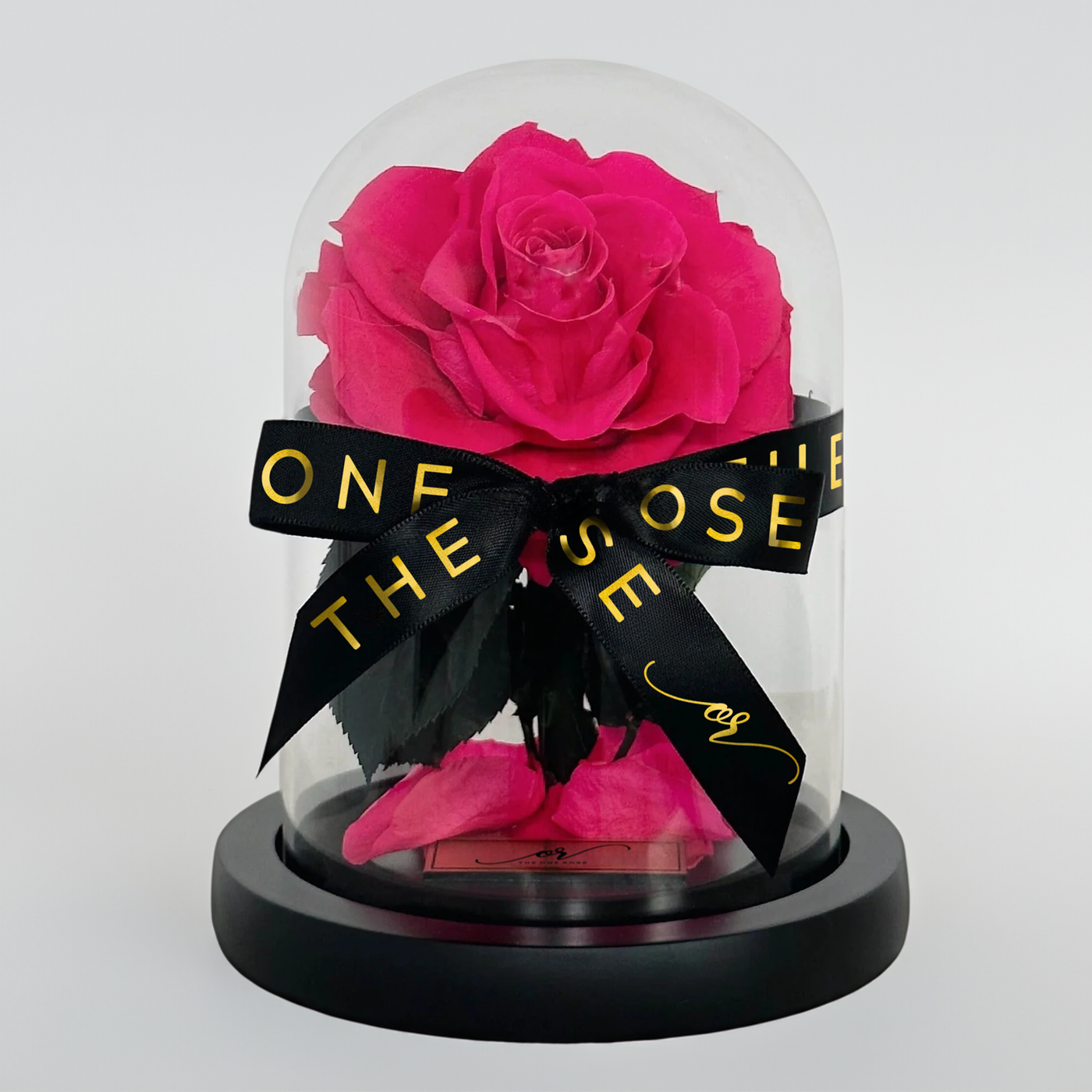 Mini Forever Rose Dome - Hot Pink