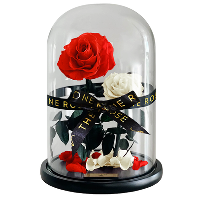 Grand Duo Forever Rose Dome - Red & White