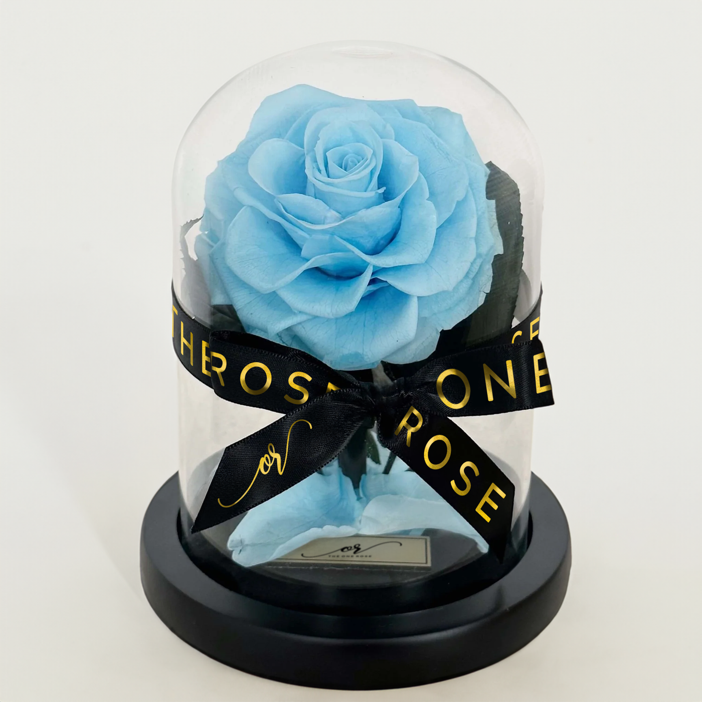 Mini Forever Rose Dome - Tiffany Blue