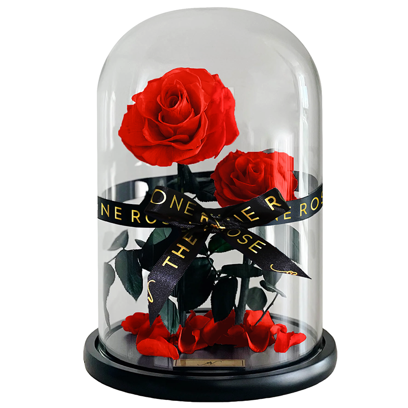 Grand Duo Forever Rose Dome - Red