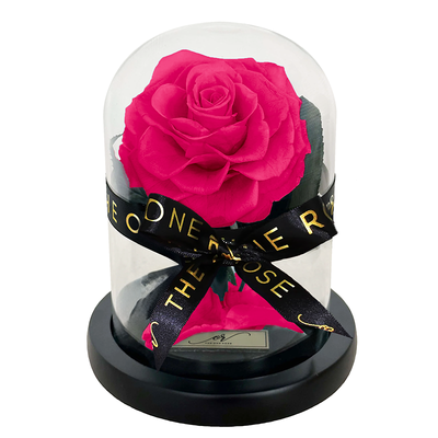 Mini Forever Rose Dome - Rosy Pink