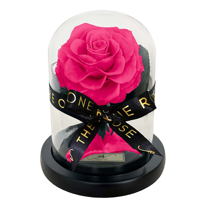 Mini Forever Rose Dome - Hot Pink