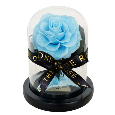 Mini Forever Rose Dome - Tiffany Blue