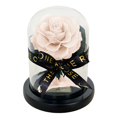 Mini Forever Rose Dome - Champagne