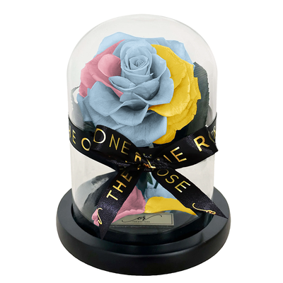 Mini Forever Rose Dome - Pastel Rainbow