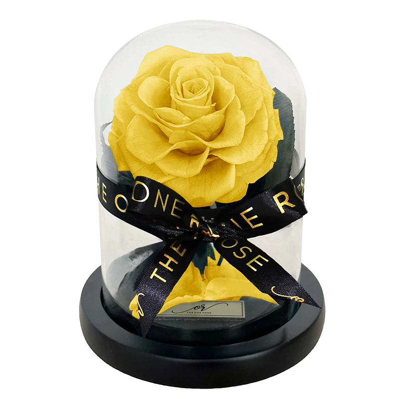 Mini Forever Rose Dome - Light Yellow