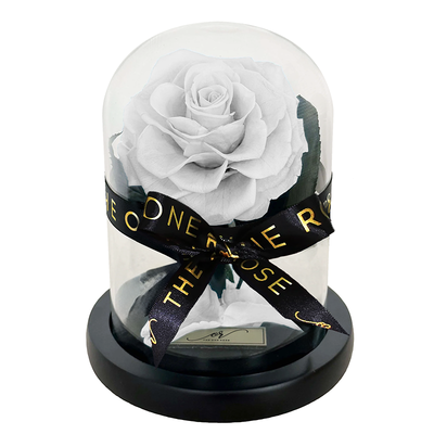 Mini Forever Rose Dome - White