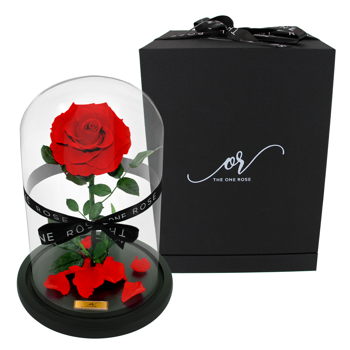 Medium Forever Rose Dome - Red