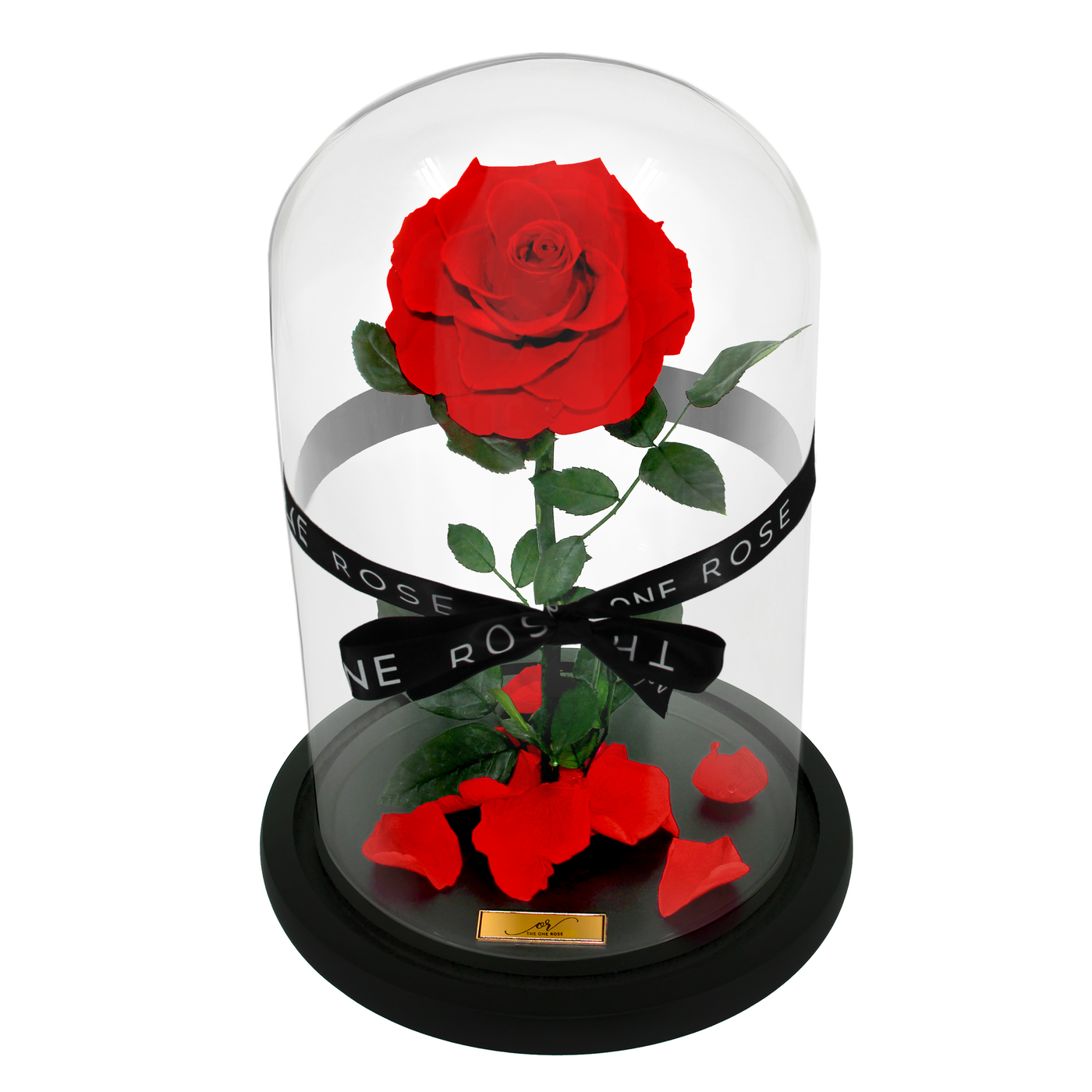 Medium Forever Rose Dome - Red