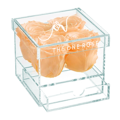 Petite Acrylic Forever Rose Box - Champagne