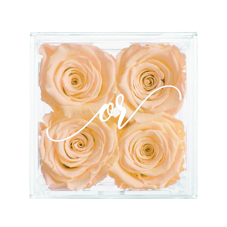 Petite Acrylic Forever Rose Box - Champagne