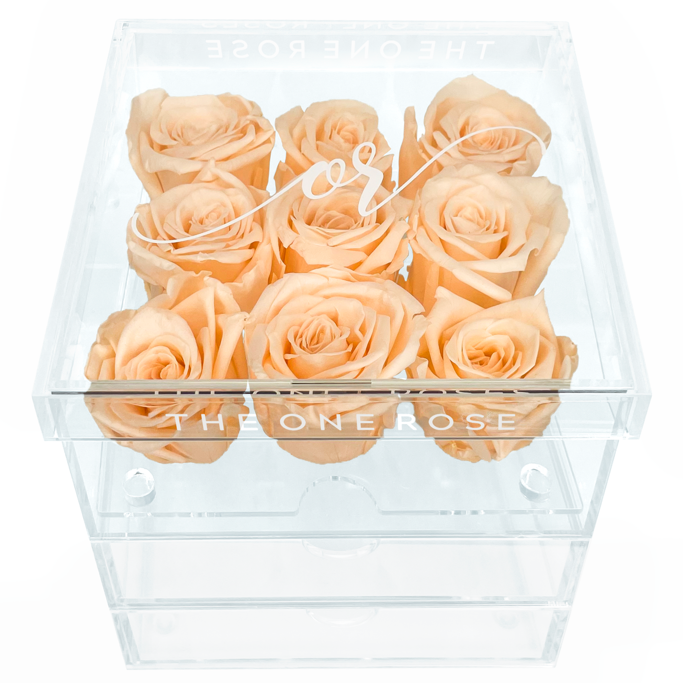 Medium Acrylic Forever Rose Box - Champagne