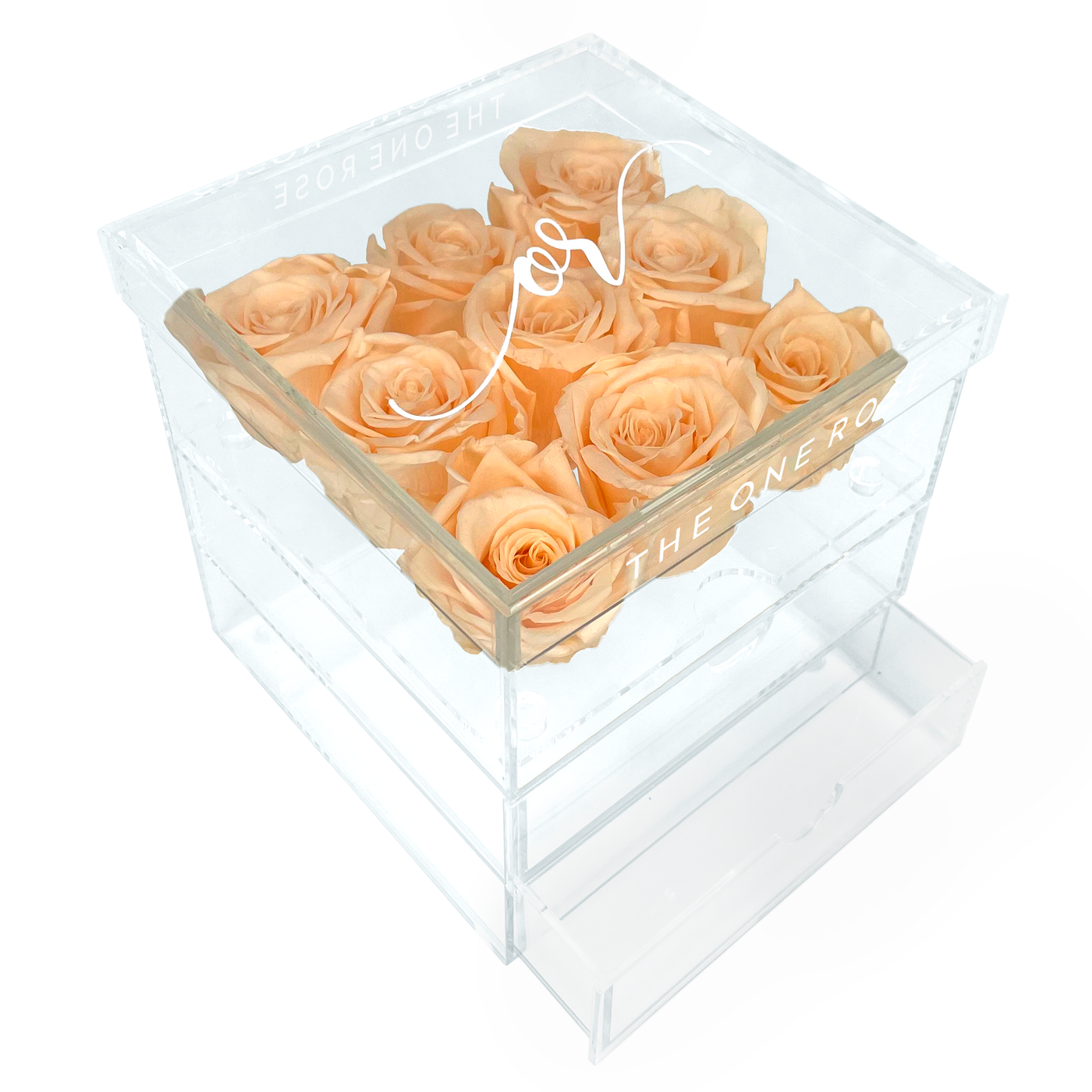 Medium Acrylic Forever Rose Box - Champagne