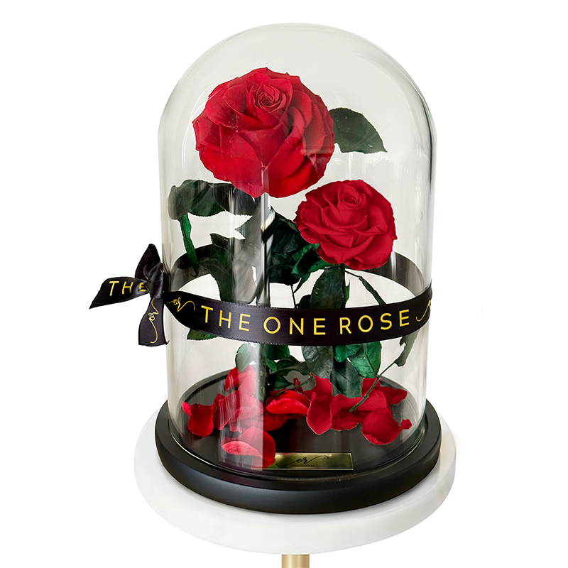 Grand Duo Forever Rose Dome - Red