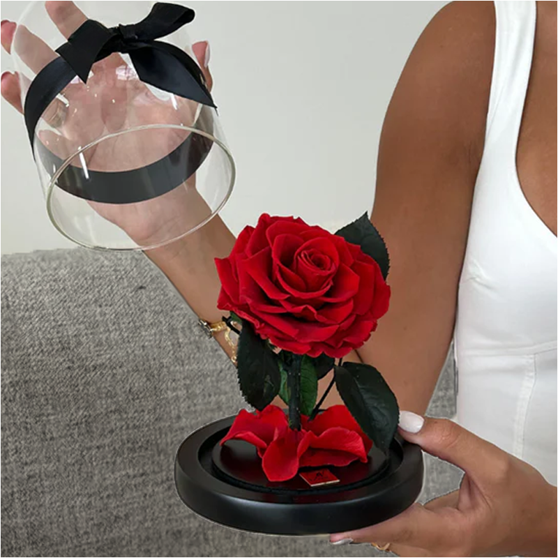 Mini Forever Rose - Black