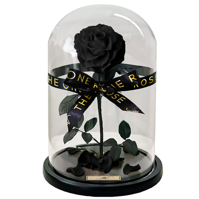 Medium Forever Rose Dome - Black