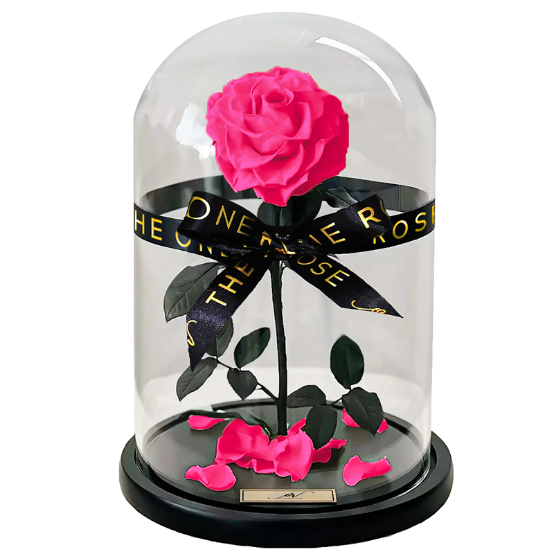 Medium Forever Rose Dome - Hot Pink