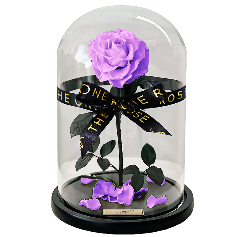 Medium Forever Rose Dome - Lilac Purple