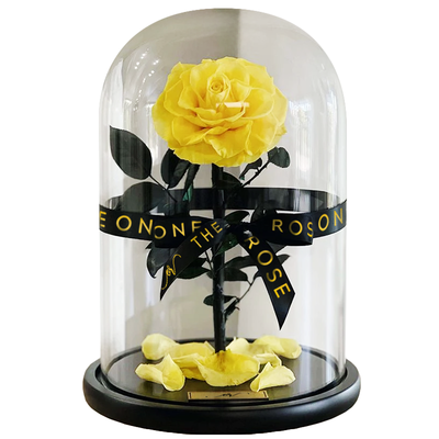 Medium Forever Rose Dome - Light Yellow