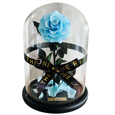 Medium Forever Rose Dome - Tiffany Blue