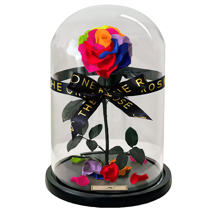 Medium Forever Rose Dome - Dark Rainbow