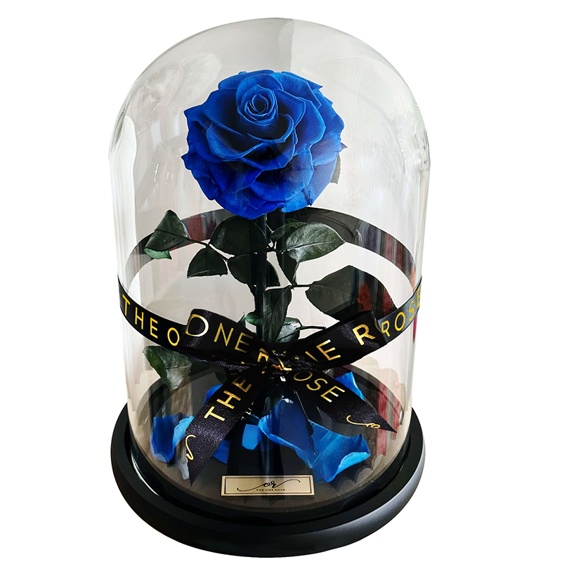 Medium Forever Rose Dome - Royal Blue