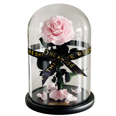 Medium Forever Rose Dome - Sakura Pink