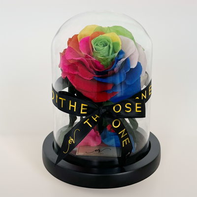 Mini Forever Rose Dome - Dark Rainbow