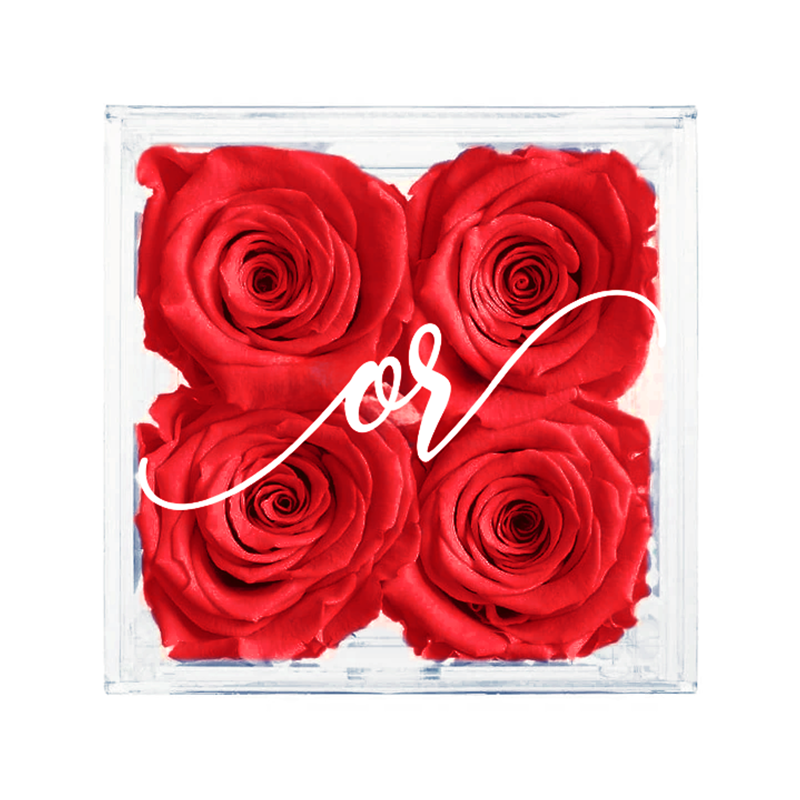 Petite Acrylic Forever Rose Box - Red