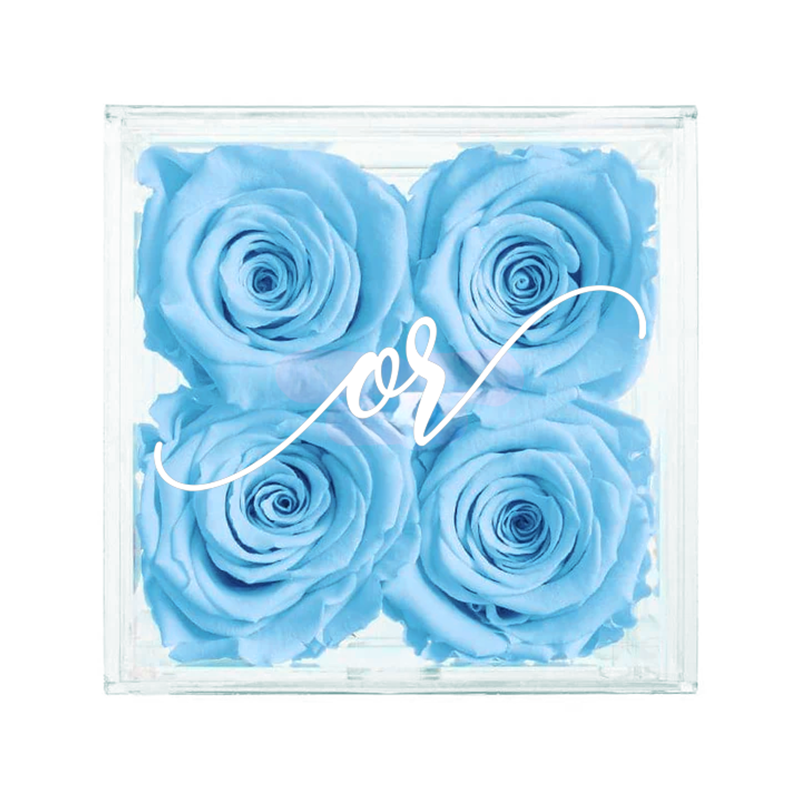 Petite Acrylic Forever Rose Box - Sky Blue