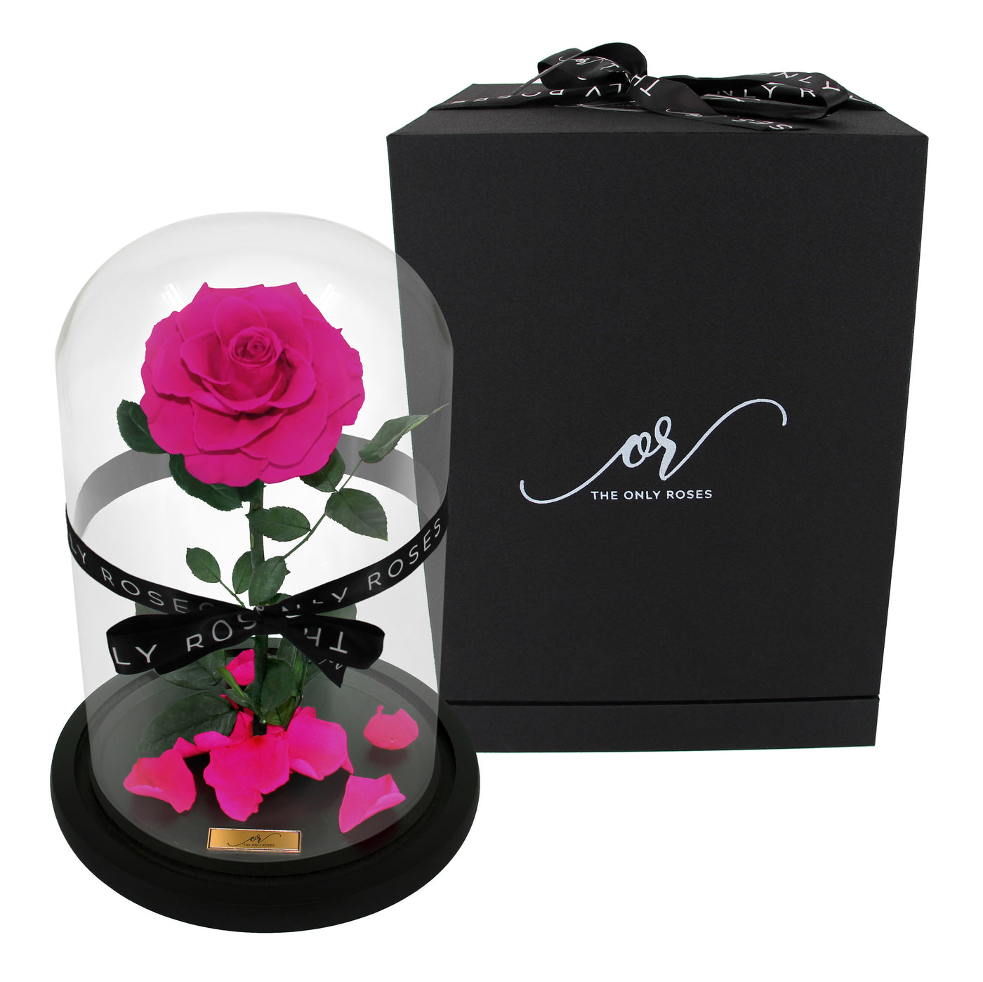 Medium Forever Rose Dome - Rosy Pink