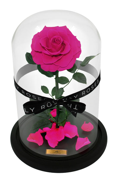 Medium Forever Rose Dome - Rosy Pink