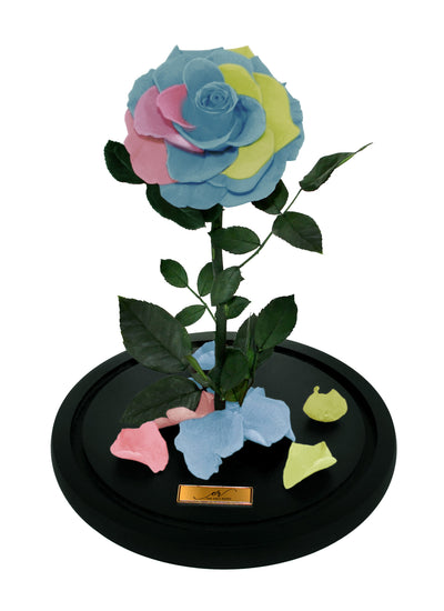 Medium Forever Rose Dome - Pastel Rainbow