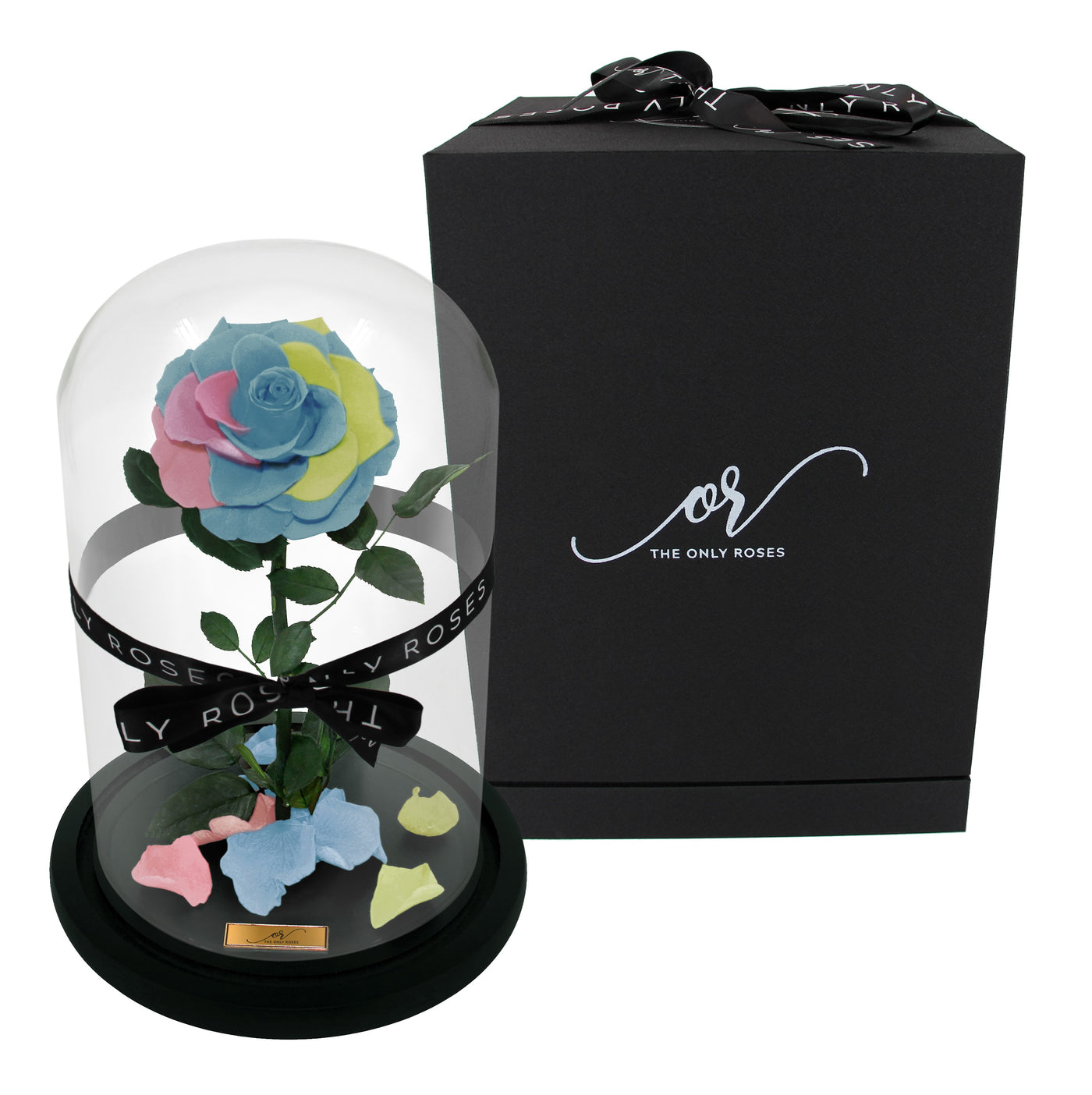 Medium Forever Rose Dome - Pastel Rainbow