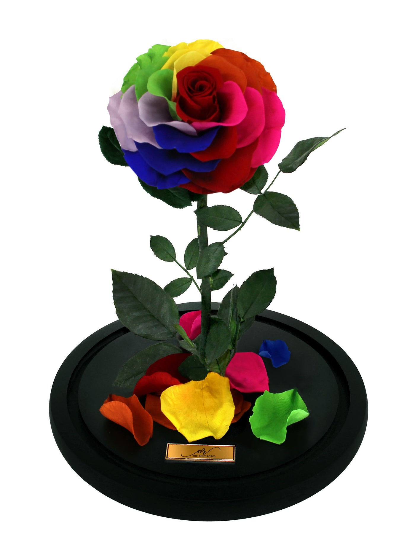 Medium Forever Rose Dome - Dark Rainbow