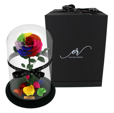 Medium Forever Rose Dome - Dark Rainbow