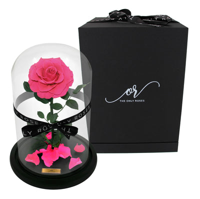 Medium Forever Rose Dome - Hot Pink