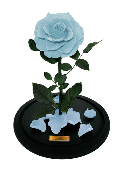 Medium Forever Rose Dome - Tiffany Blue