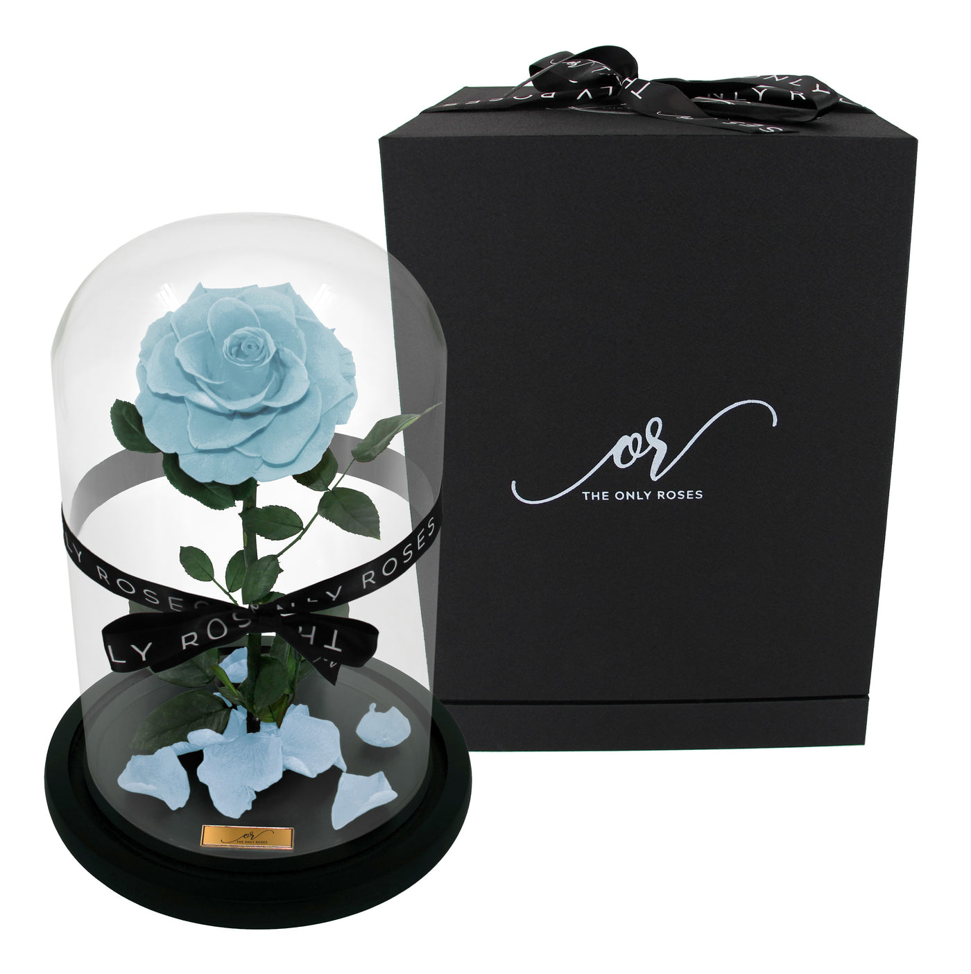 Medium Forever Rose Dome - Tiffany Blue