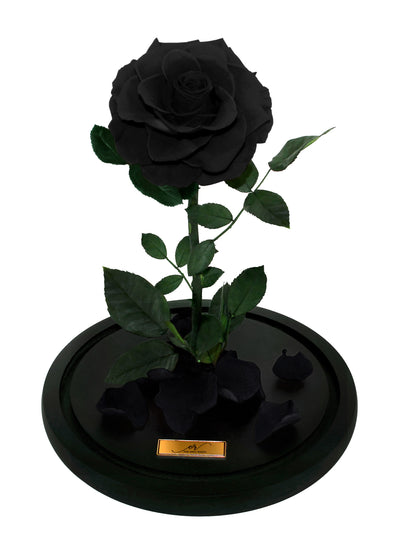 Medium Forever Rose Dome - Black